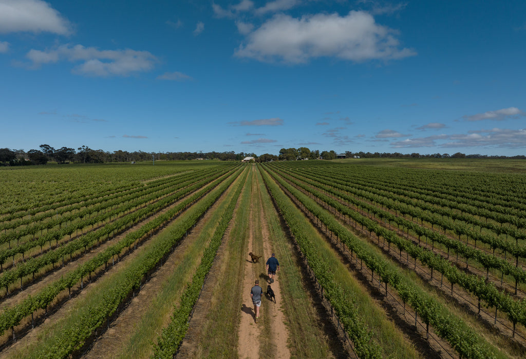 2022 Vineyard of the Year Awards - Peter Lehmann Wines