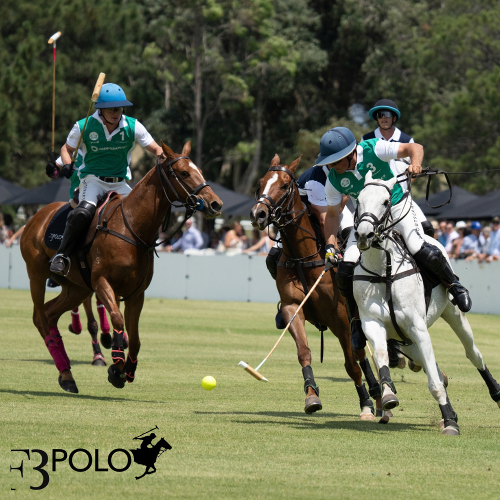 F3 Polo
