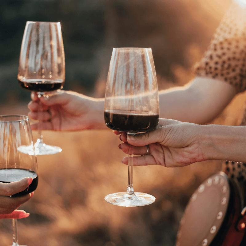 Coming up at the Cellar Door! - Peter Lehmann Wines