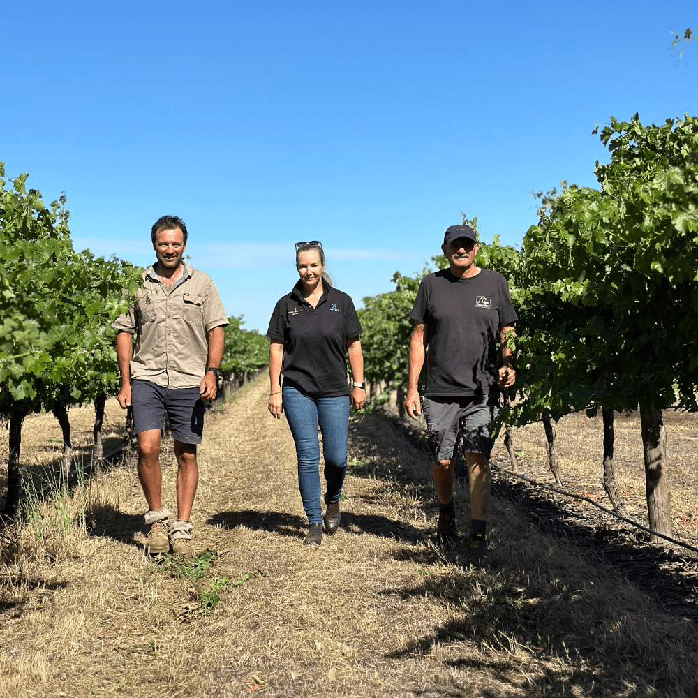 Supporting a Greener Future for Winegrowing - Peter Lehmann Wines