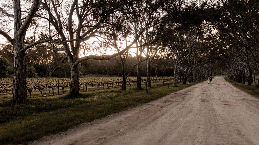 Weddings at Peter Lehmann - Hayden and Jenna’s special day - Peter Lehmann Wines