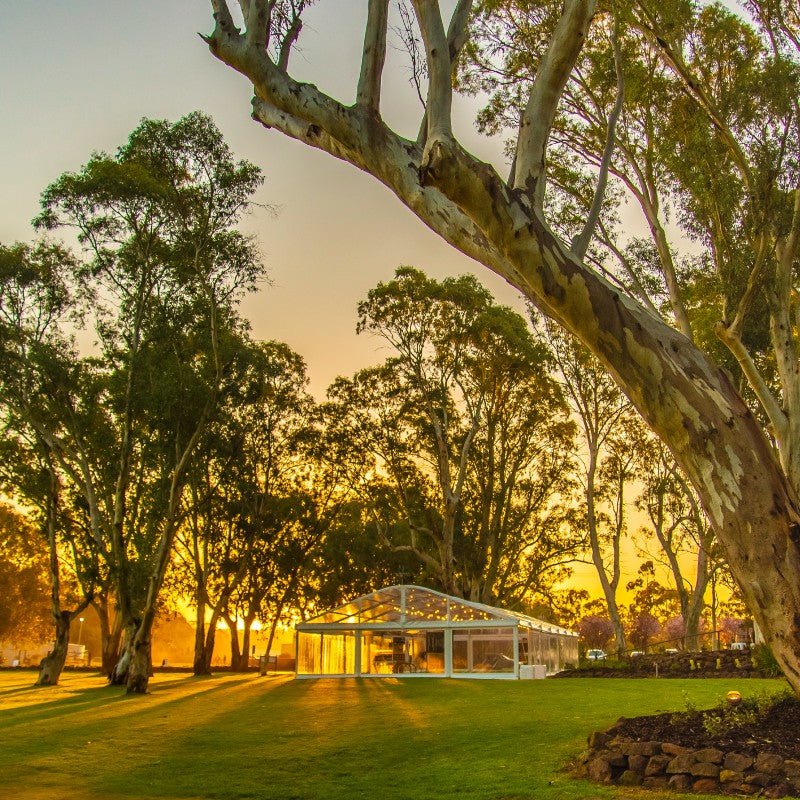 World Tourism Day - Peter Lehmann Wines