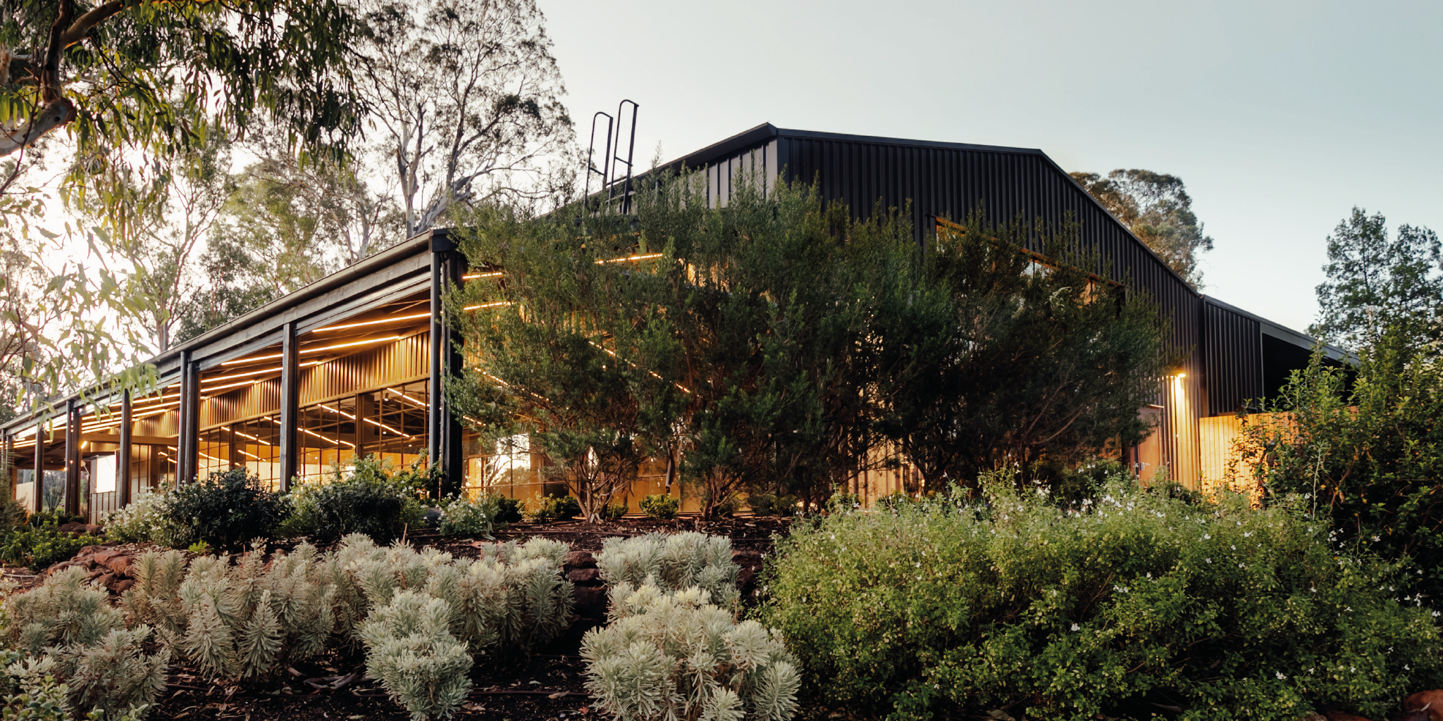 Peter Lehmann Wines